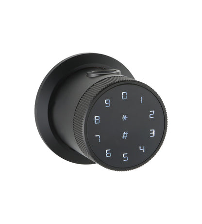 Cerradura Digital DOT (WIFI Tuya Smart)